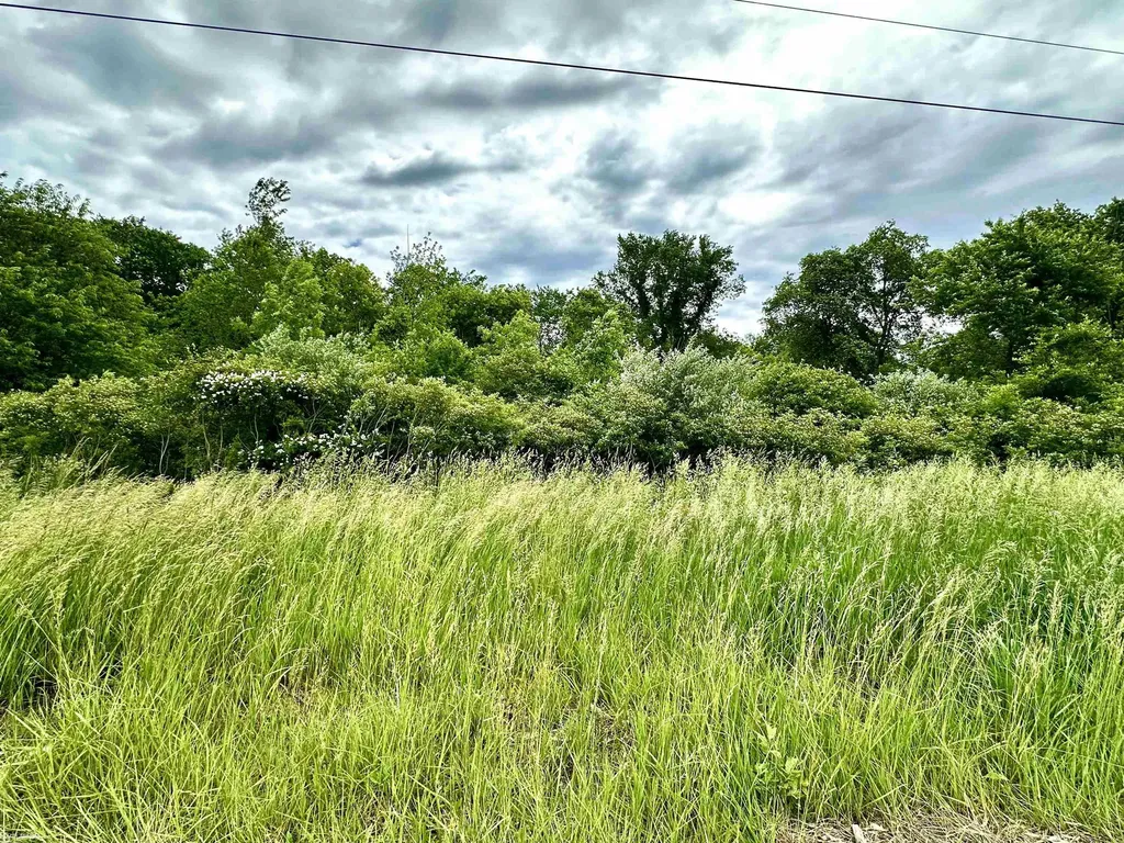 Vl Braidwood Parcel 4 Road Riley Township MI 48041