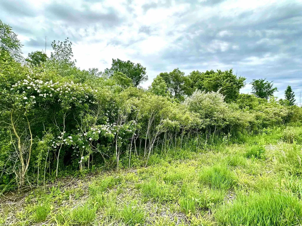 Vl Braidwood Parcel 4 Road Riley Township MI 48041