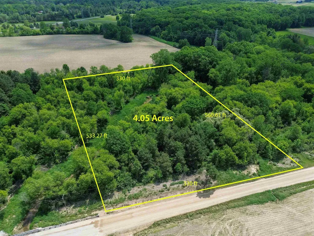 Vl Braidwood Parcel 4 Road Riley Township MI 48041