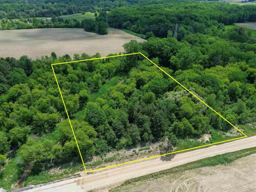 Vl Braidwood Parcel 4 Road Riley Township MI 48041