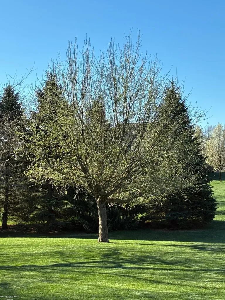 72608 Oxal Point Bruce Township MI 48065