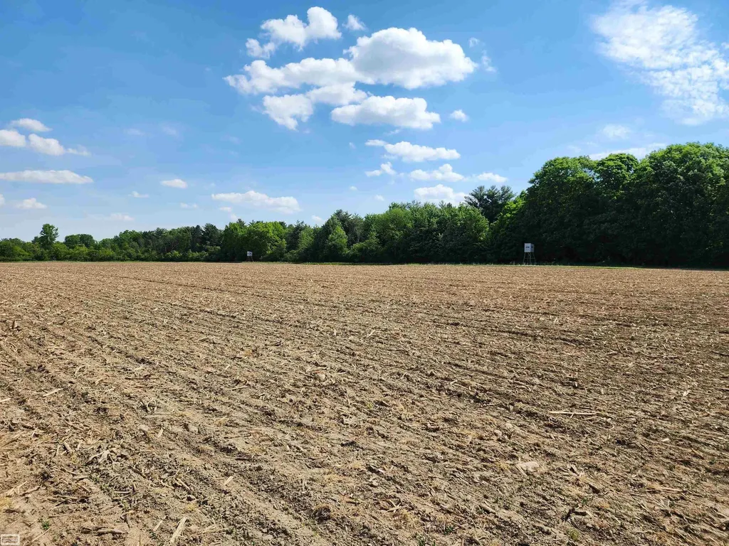 0 Brennan Road Kenockee Township MI 48006