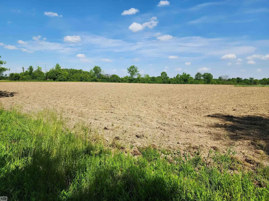 0 Brennan Road Kenockee Township MI 48006
