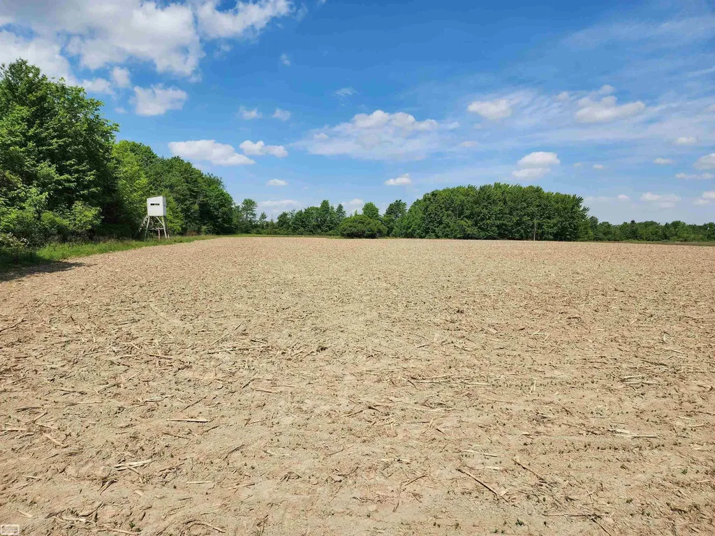0 Brennan Road Kenockee Township MI 48006