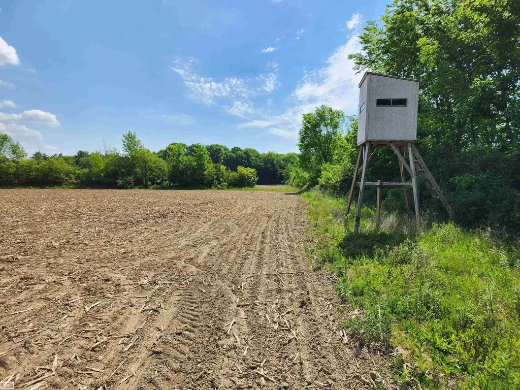 0 Brennan Road Kenockee Township MI 48006