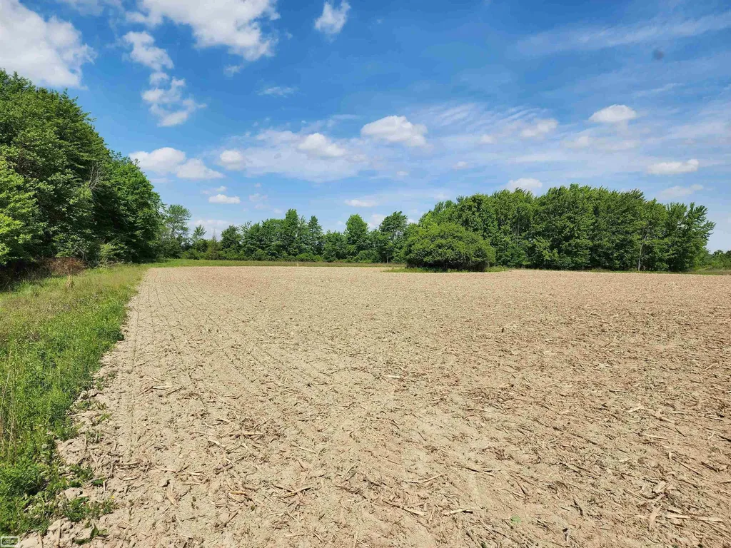0 Brennan Road Kenockee Township MI 48006