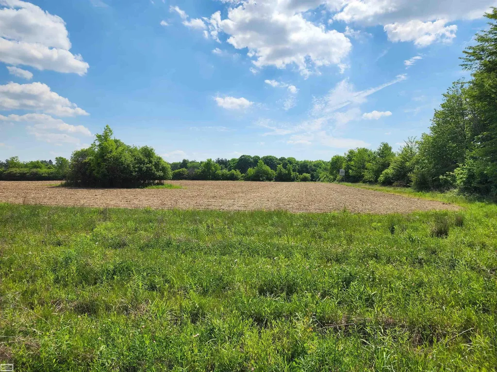 0 Brennan Road Kenockee Township MI 48006