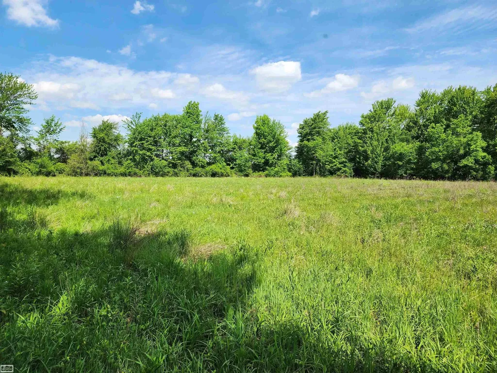 0 Brennan Road Kenockee Township MI 48006