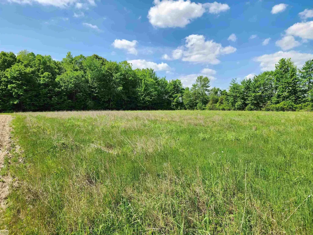 0 Brennan Road Kenockee Township MI 48006