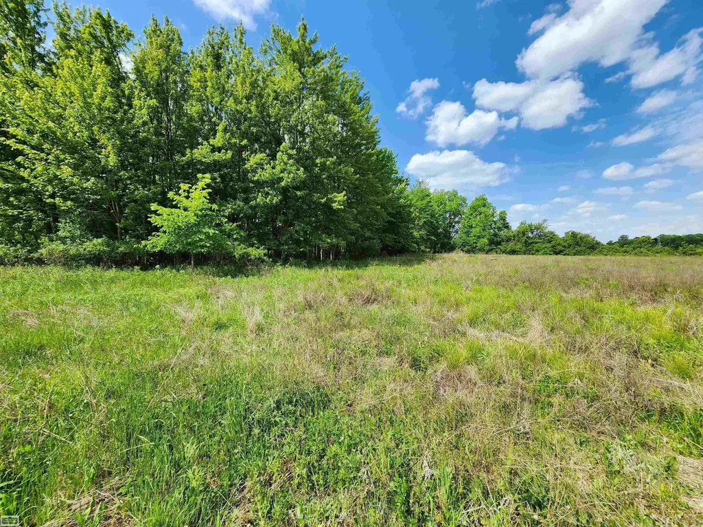 0 Brennan Road Kenockee Township MI 48006