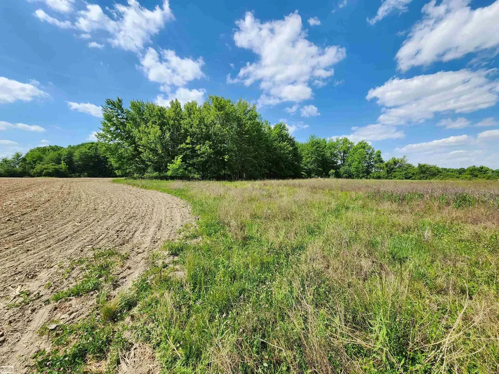0 Brennan Road Kenockee Township MI 48006