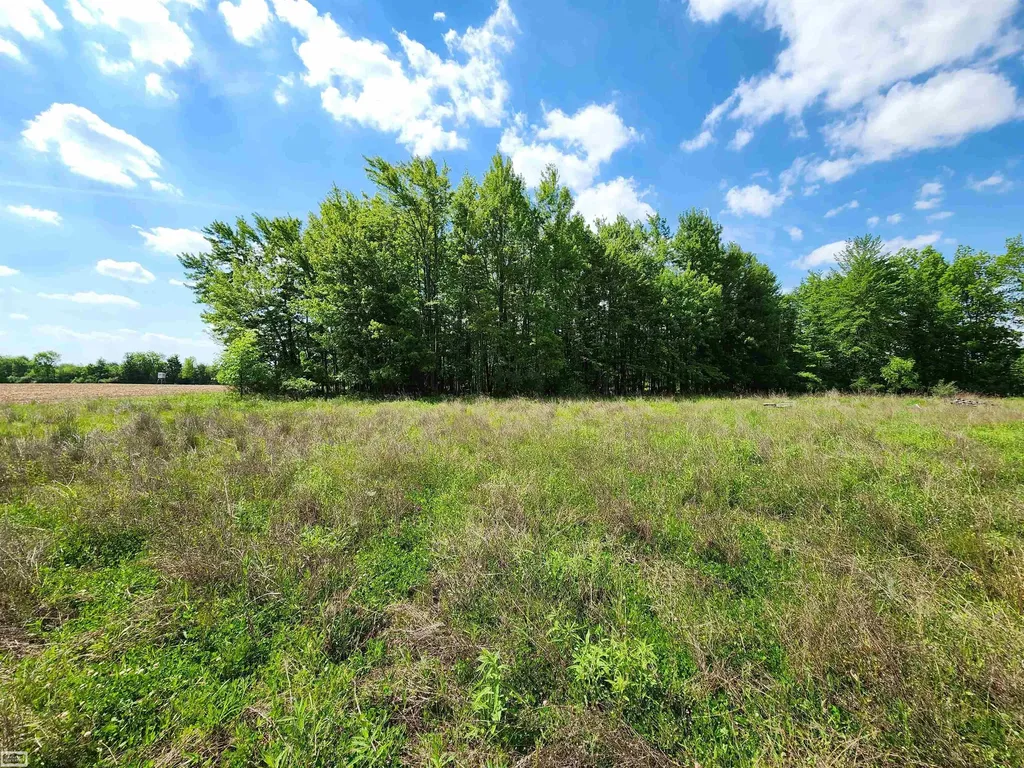 0 Brennan Road Kenockee Township MI 48006