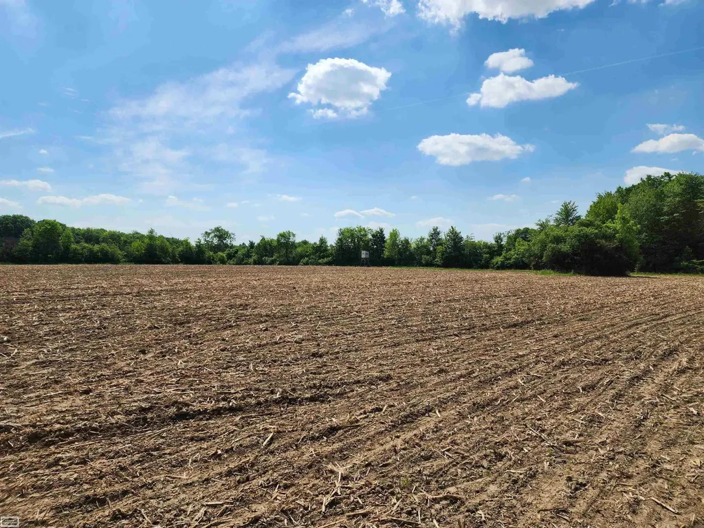 0 Brennan Road Kenockee Township MI 48006