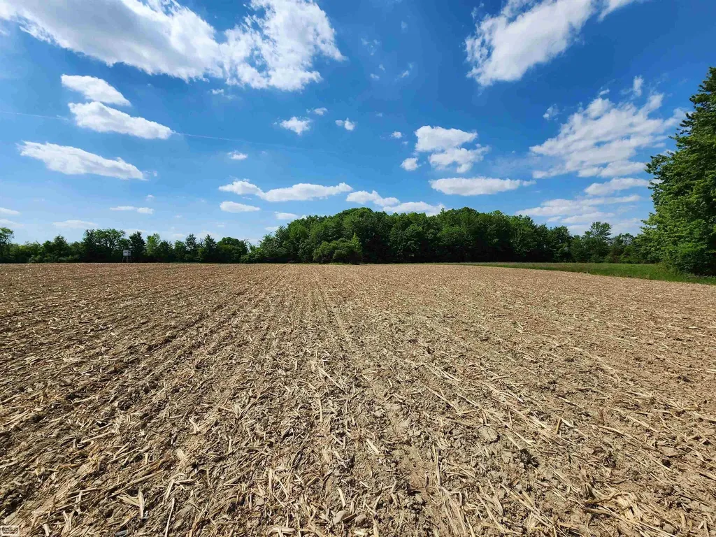 0 Brennan Road Kenockee Township MI 48006