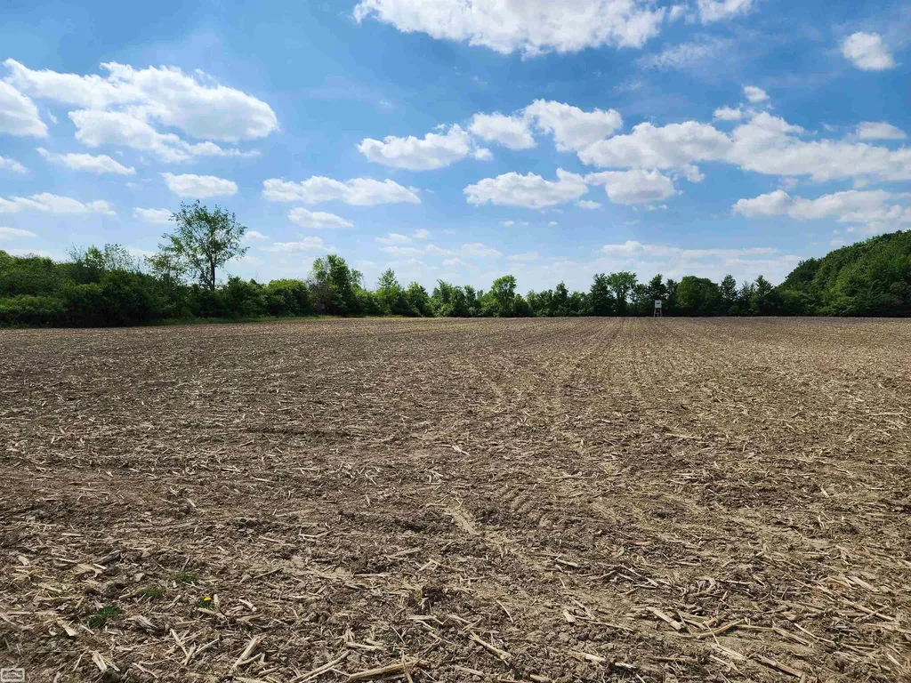 0 Brennan Road Kenockee Township MI 48006