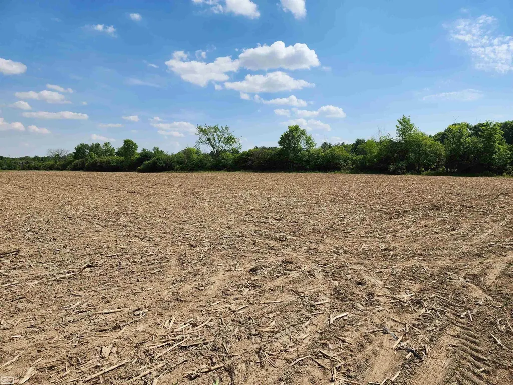 0 Brennan Road Kenockee Township MI 48006