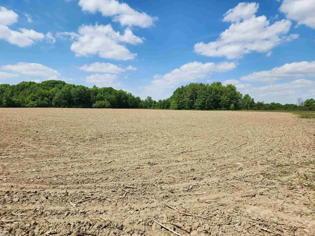 0 Brennan Road Kenockee Township MI 48006