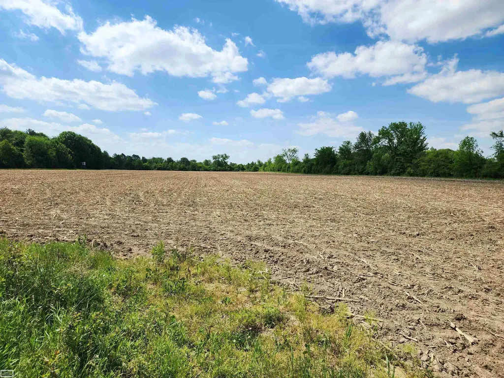 0 Brennan Road Kenockee Township MI 48006