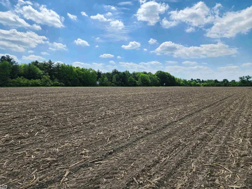 0 Brennan Road Kenockee Township MI 48006
