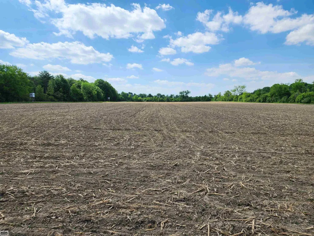 0 Brennan Road Kenockee Township MI 48006