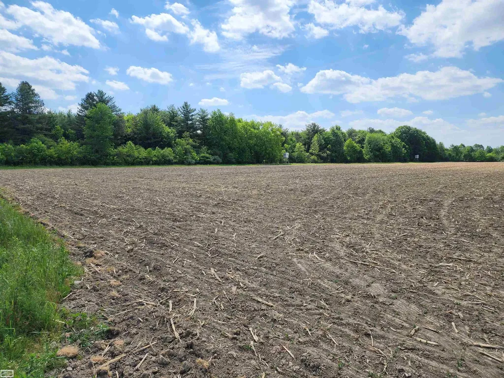 0 Brennan Road Kenockee Township MI 48006