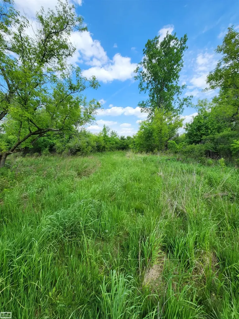 0 Brennan Road Kenockee Township MI 48006