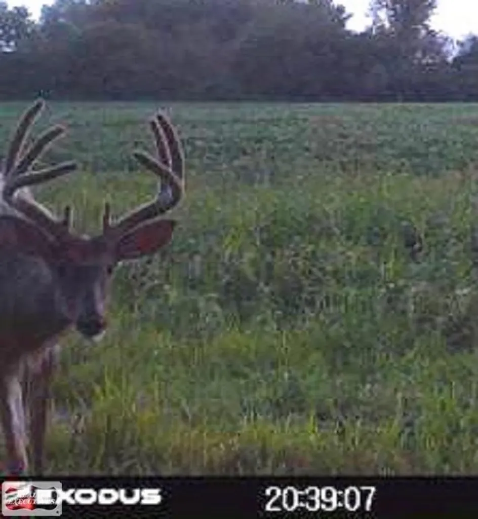 0 Brennan Road Kenockee Township MI 48006