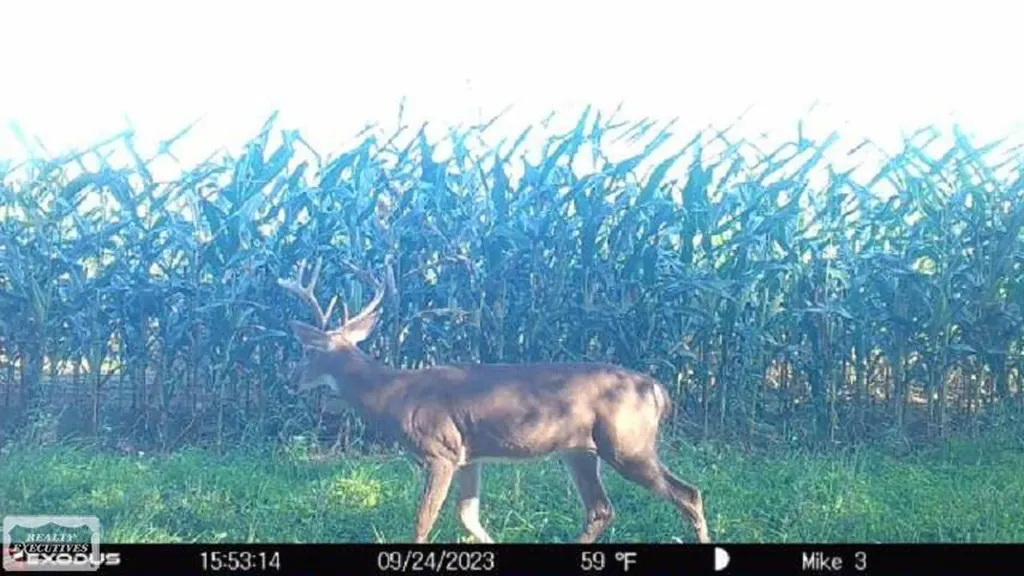 0 Brennan Road Kenockee Township MI 48006
