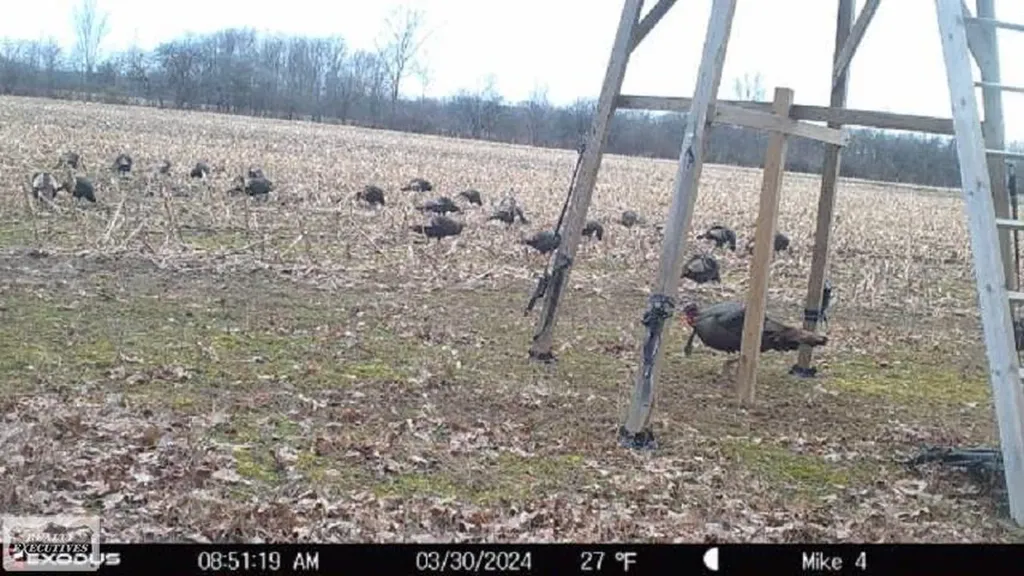 0 Brennan Road Kenockee Township MI 48006