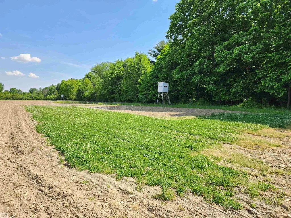 0 Brennan Road Kenockee Township MI 48006