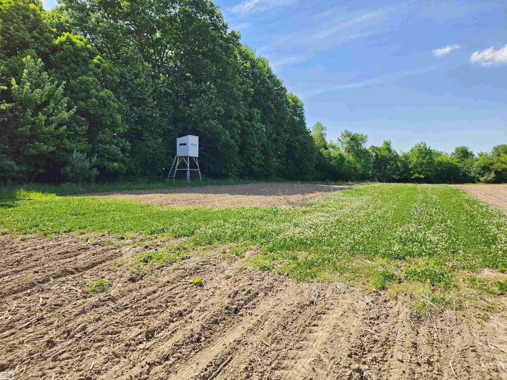 0 Brennan Road Kenockee Township MI 48006
