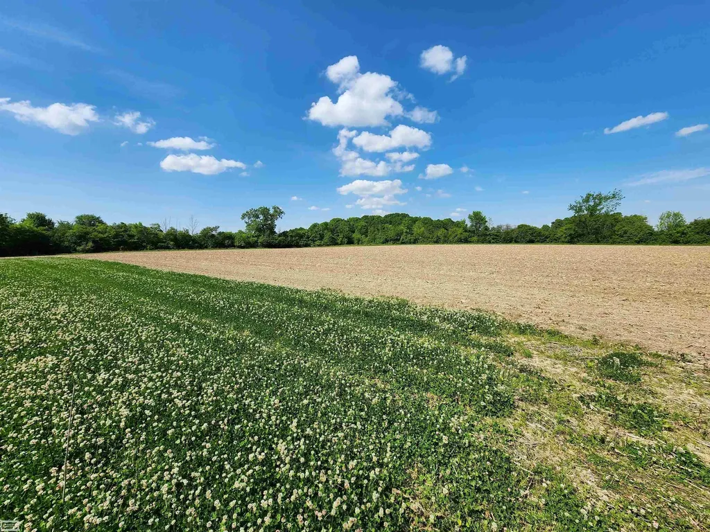 0 Brennan Road Kenockee Township MI 48006