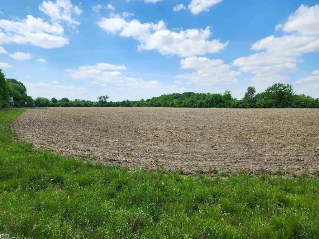 0 Brennan Road Kenockee Township MI 48006
