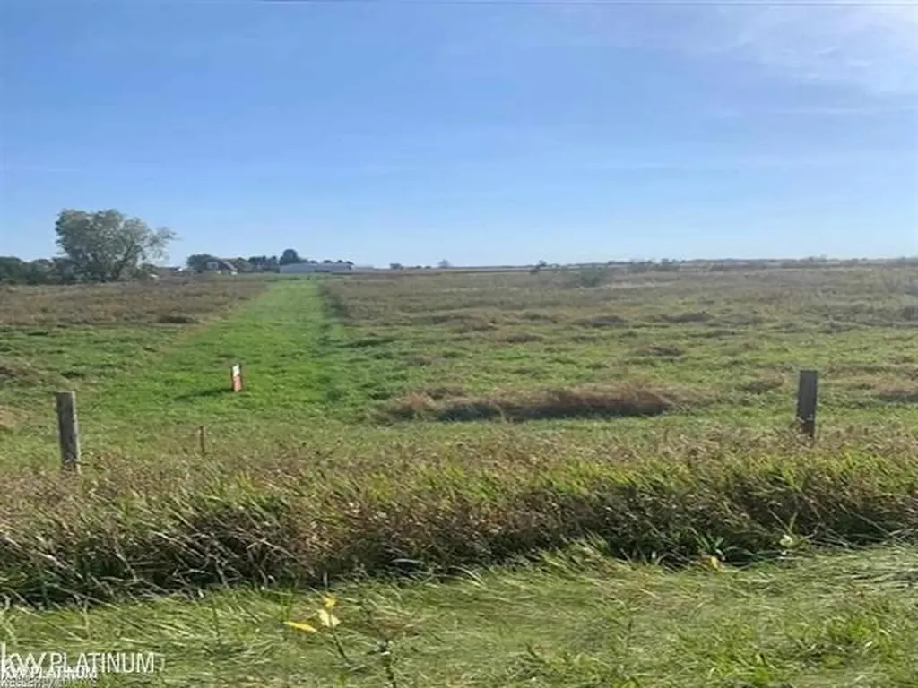 0 Peck A Road Burnside Township MI 48416