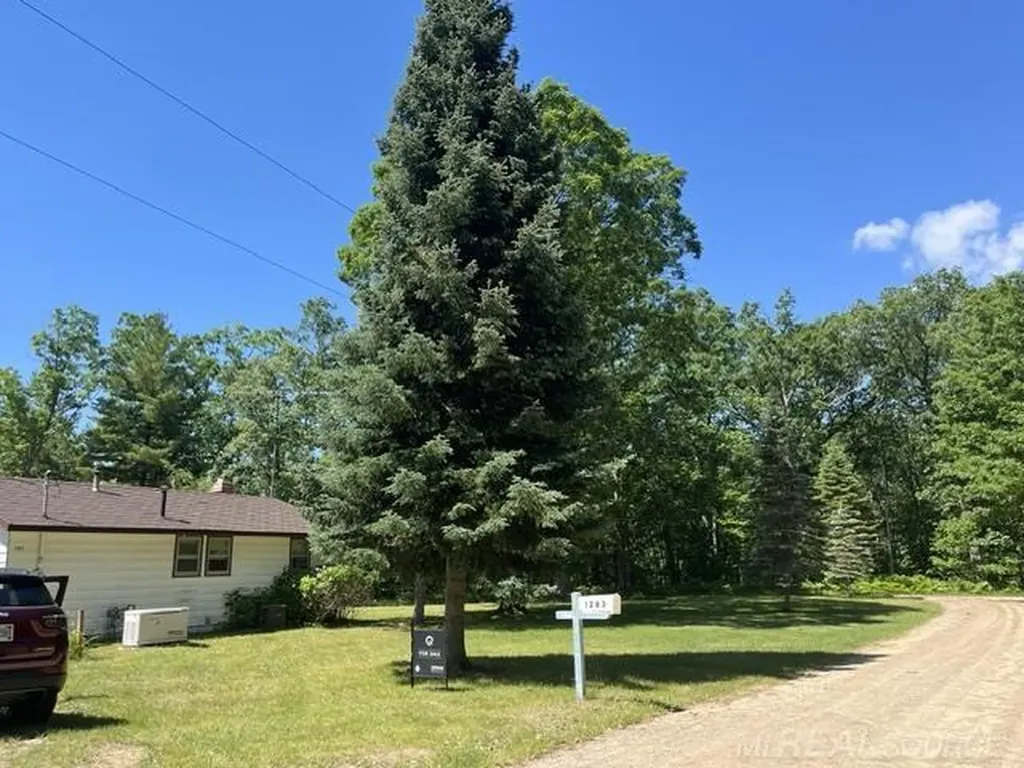 1283 First Street Lincoln Township MI 48633