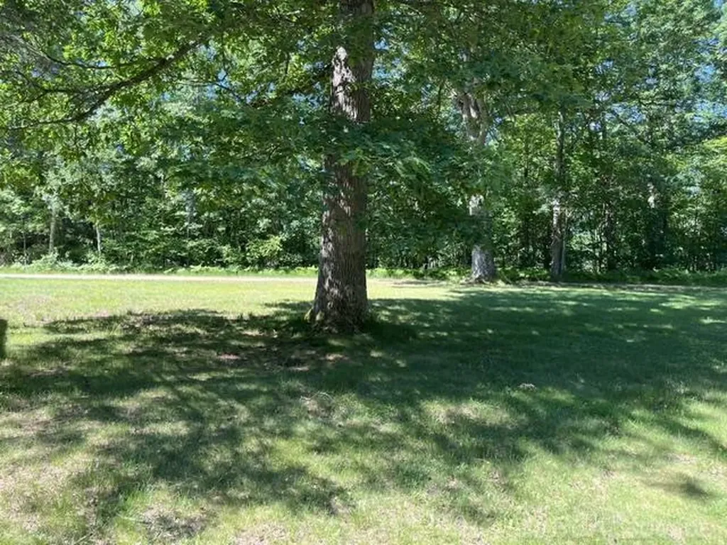 1283 First Street Lincoln Township MI 48633