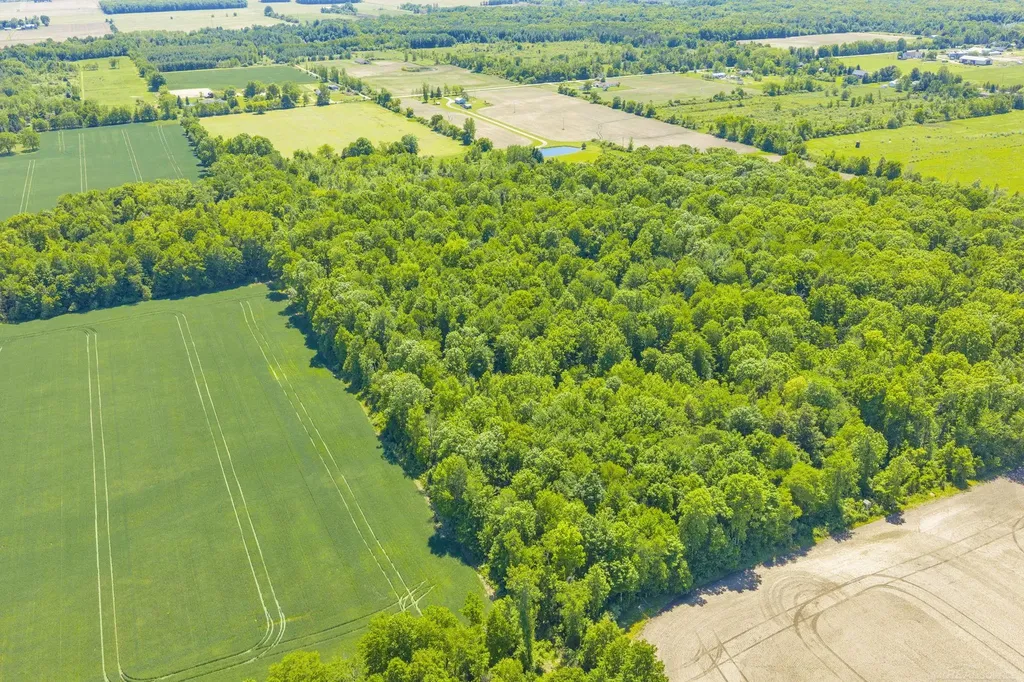 Vl Wellman Line Road Worth Township MI 48422