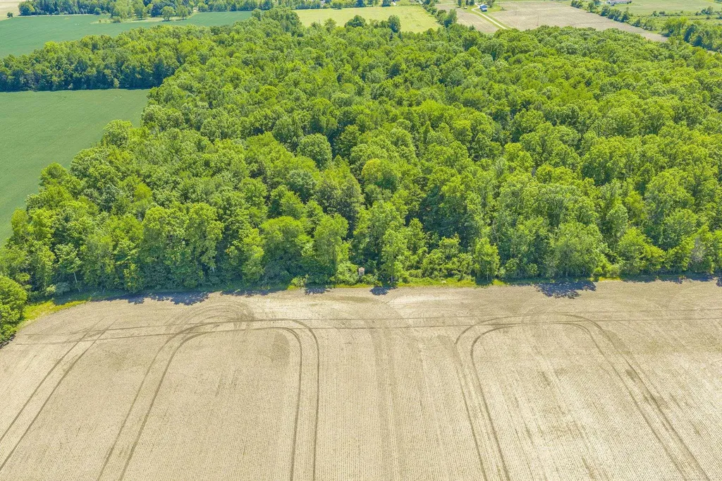 Vl Wellman Line Road Worth Township MI 48422