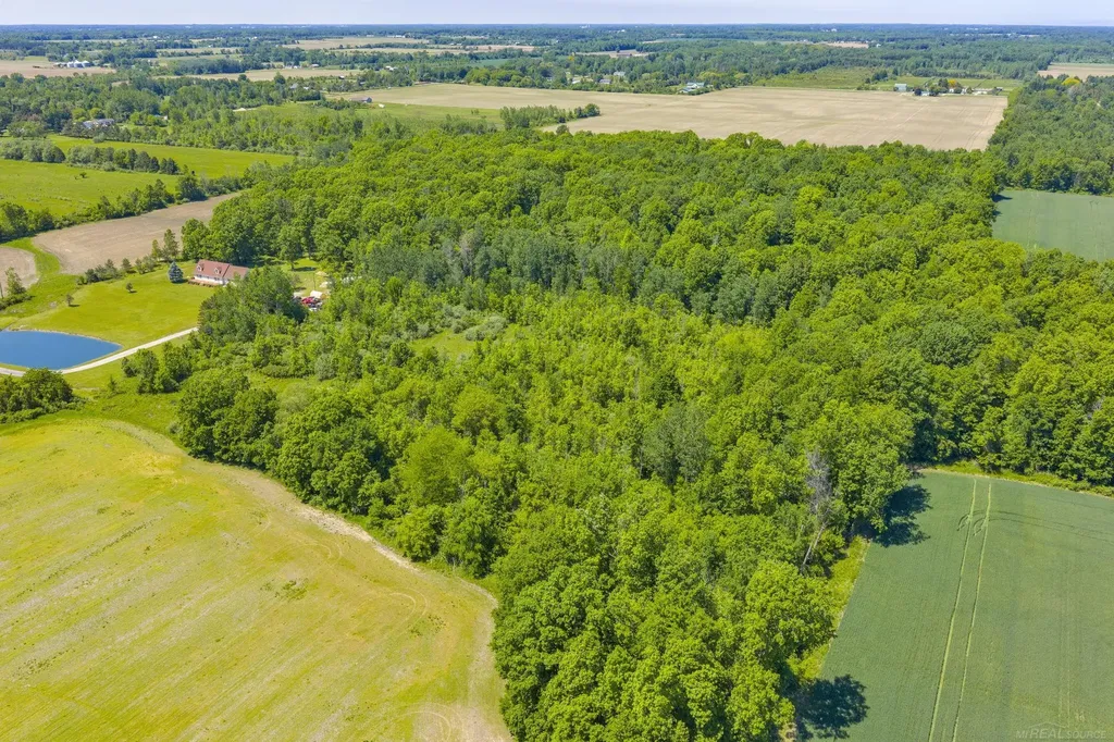 Vl Wellman Line Road Worth Township MI 48422