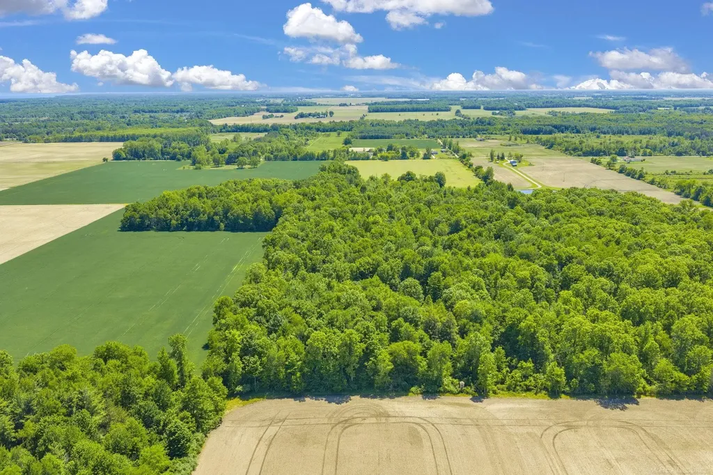 Vl Wellman Line Road Worth Township MI 48422