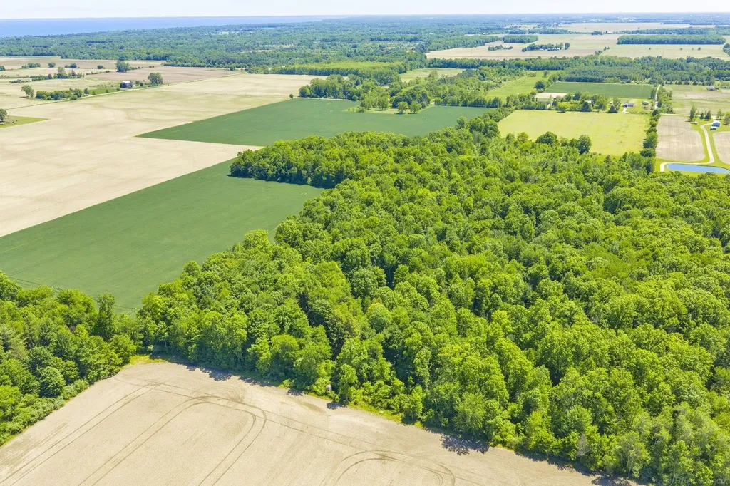 Vl Wellman Line Road Worth Township MI 48422