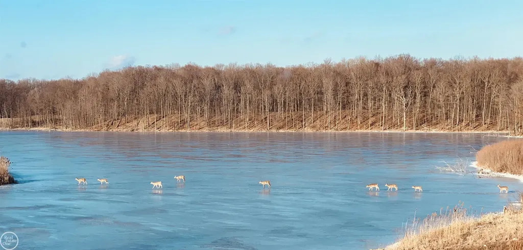 5419 Delano Road Metamora Township MI 48455