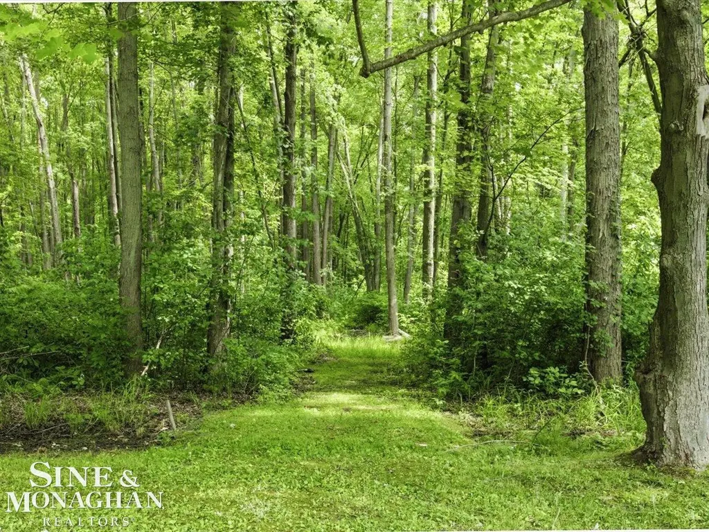 9211 Folkert Road Clay Township MI 48001