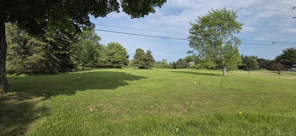 0000 Babcock Road Lexington Township MI 48450
