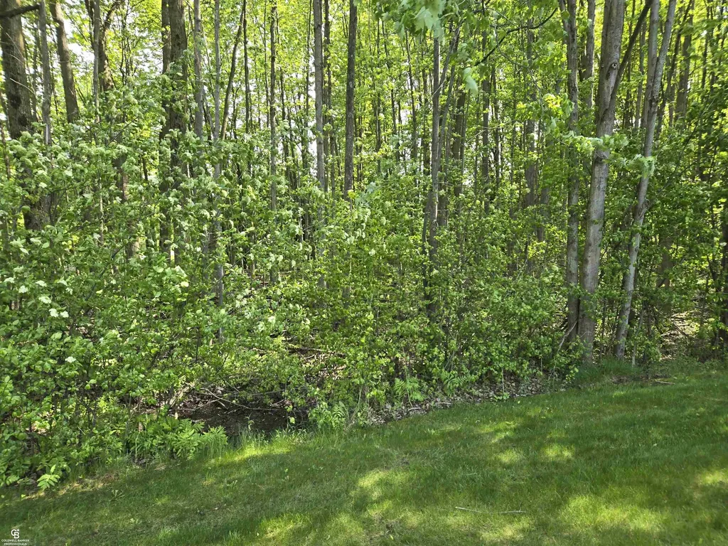 9660 Brandon Road Kenockee Township MI 48006