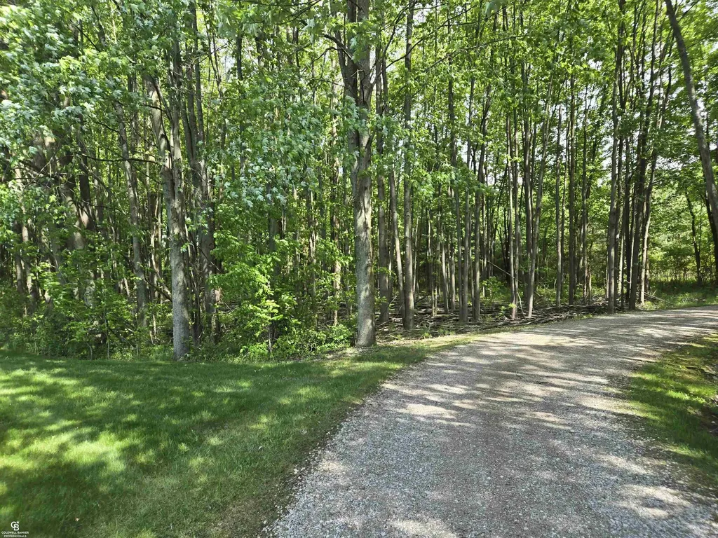 9660 Brandon Road Kenockee Township MI 48006