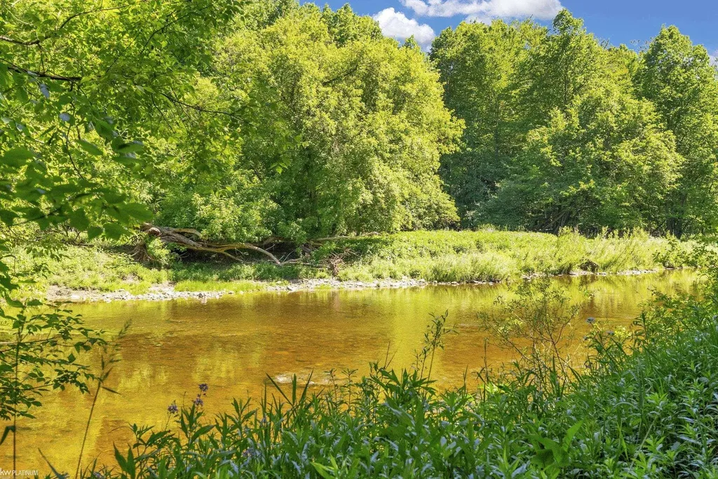 8211 Black River Road Worth Township MI 48422