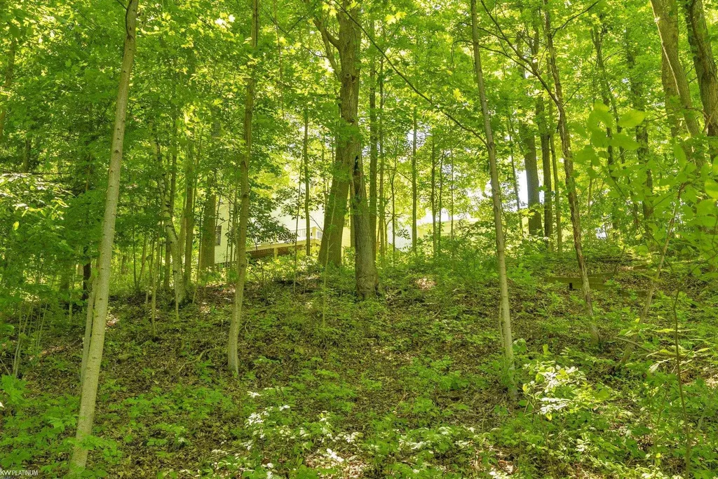 8211 Black River Road Worth Township MI 48422