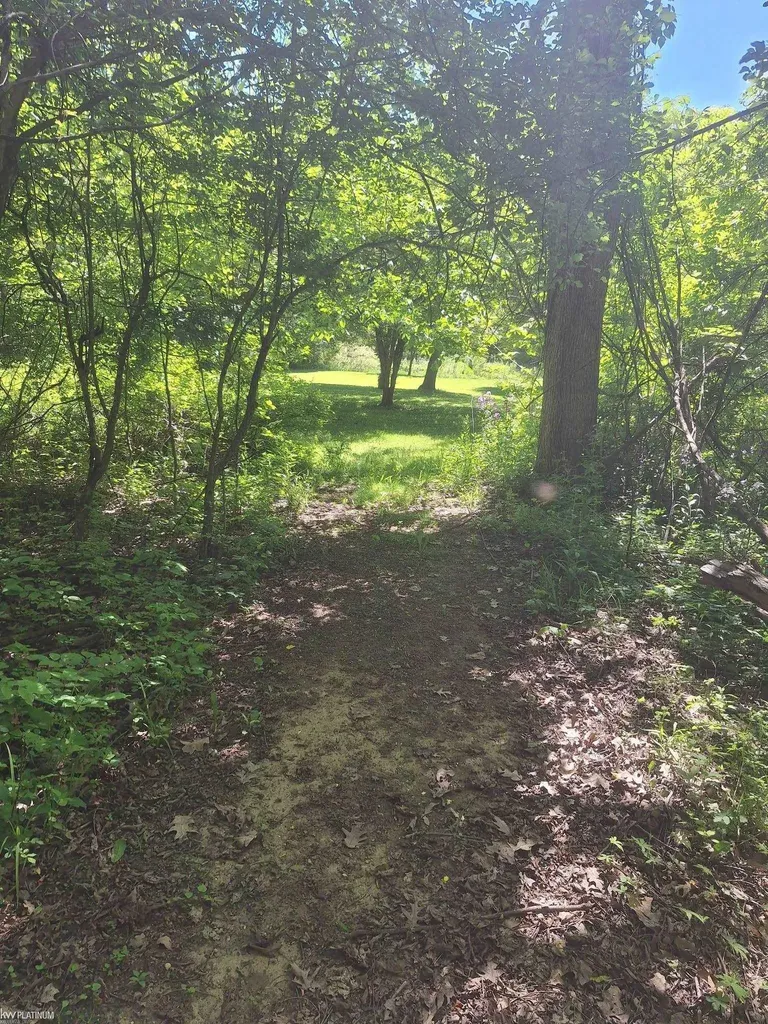 8211 Black River Road Worth Township MI 48422