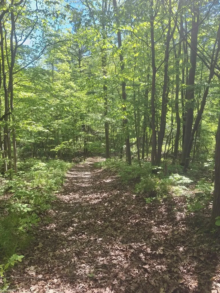 8211 Black River Road Worth Township MI 48422
